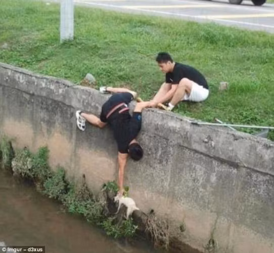 Hai người đàn ông đang cố gắng cứu con mèo bị rơi xuống hồ.