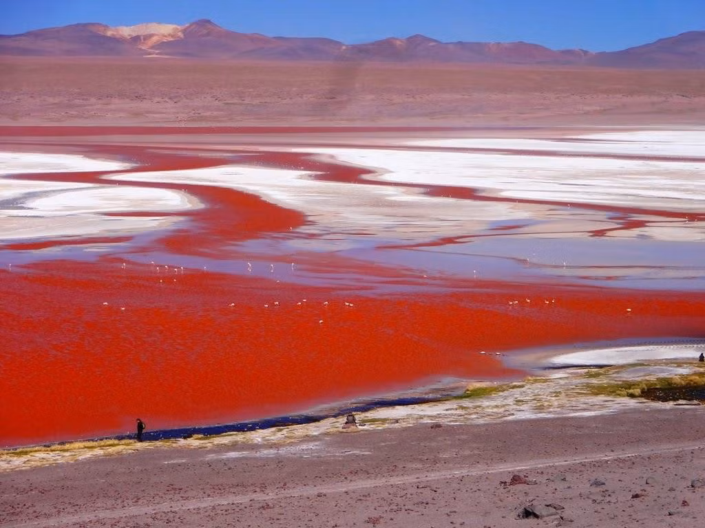 Hồ Lago Colorada ở Bolivia là hồ chứa nước màu đỏ, khiến nhiều người liên tưởng như một khu vực trên sao Hỏa. Nguyên nhân tạo nên màu đỏ của hồ là lớp trầm tích lắng đọng và một loại tảo. Hồ có những đảo muối borax trắng xóa. Đây cũng là nơi tập trung rất nhiều giống chim hồng hạc quý hiếm. Ảnh: Wordpress.