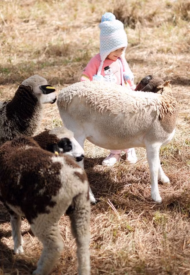 Đà Lạt không chỉ có hoa. Ghé thăm “Paris của Việt Nam”, du khách còn có cơ hội tham quan, cho thú ăn và tìm hiểu cuộc sống hoang dã của những loài thú quý hiếm và lạ tại sở thú Zoodoo. Trong tour này, bạn có thể khám phá vườn bí khổng lồ - cà chua đen - vườn dâu tây; cánh đồng hoa cẩm tú cầu và dinh 1 Đà Lạt.