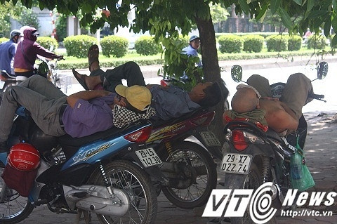 Những tài xế xe ôm tranh thủ ngủ trưa dưới những tán cây ngay bên đường giữa trời nắng nóng.