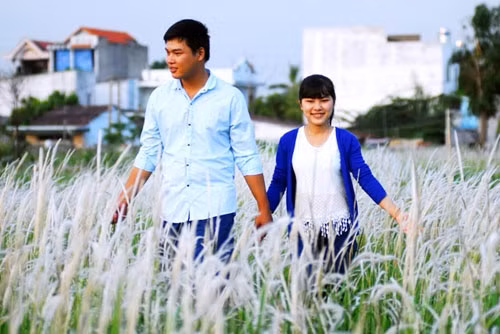 Cả cánh đồng cỏ lau rợp màu trắng, ẩn hiện trong màu xanh gốc lau.