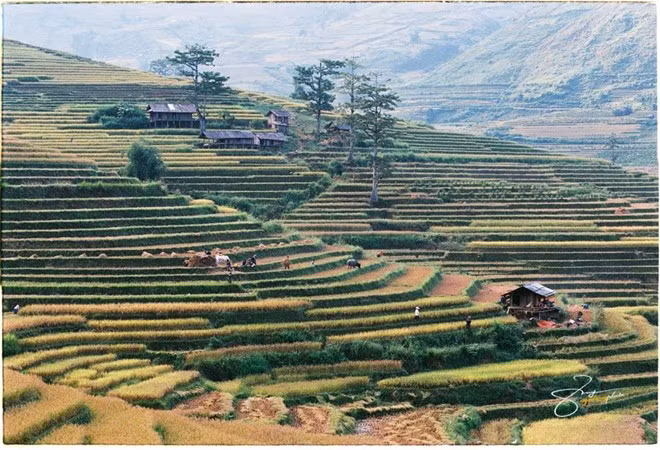 Đỉnh dốc Hai Bà Cháu là một trong những địa điểm lý tưởng để ngắm nhìn toàn cảnh thung lũng Tú Lệ.