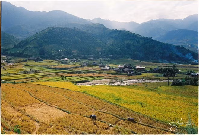 Thung lũng này có thể được ví như cô gái miền sơn cước xinh đẹp.