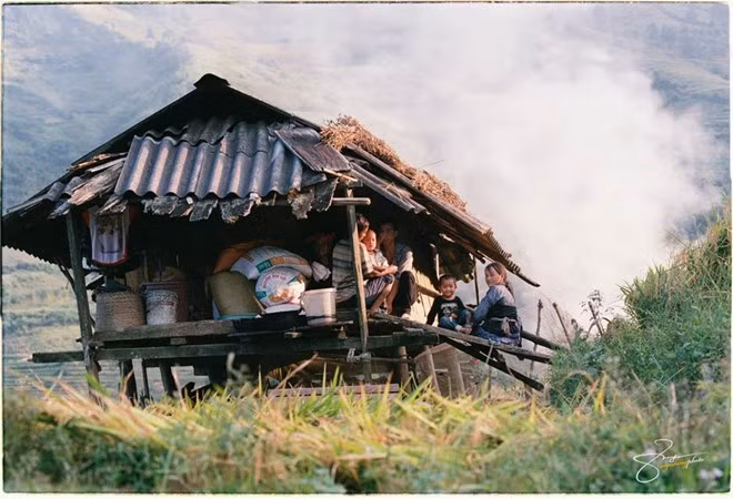 Nơi đây như một bức tranh sinh động, tràn đầy sức sống.