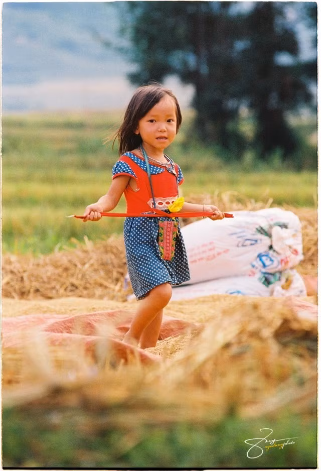 Du khách đến Tú Lệ sẽ được thưởng thức các món ăn được chế biến từ gạo nếp Tú như cốm, cháo cốm vịt, xôi nếp ngũ sắc, cơm lam, nhấp thêm chén rượu nếp trong tiếng hát mời rượu của những cô gái Thái.