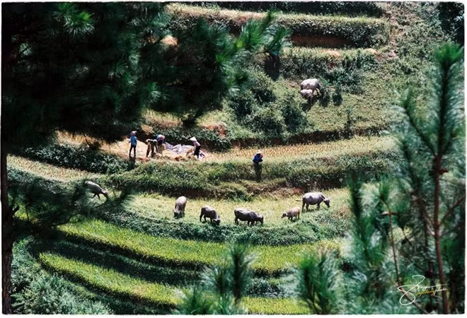 Đời sống người dân cũng từ đó được cải thiện, bớt đói nghèo.