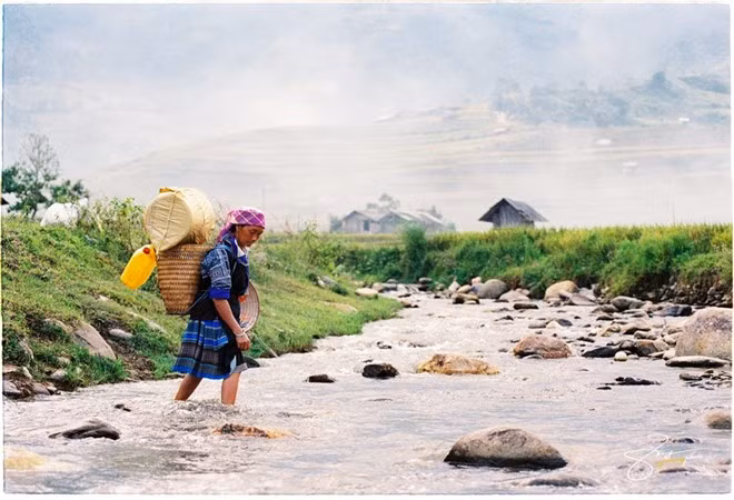 20 năm trước, xã Tú Lệ được mệnh danh là vương quốc của cây thuốc phiện. Vào những mùa Anh túc nở, thung lũng Tú Lệ mang vẻ đẹp huyền bí. Nhưng vẻ đẹp của loài hoa Anh túc càng rực rỡ bao nhiêu thì cuộc sống người dân càng khốn khó bấy nhiêu.