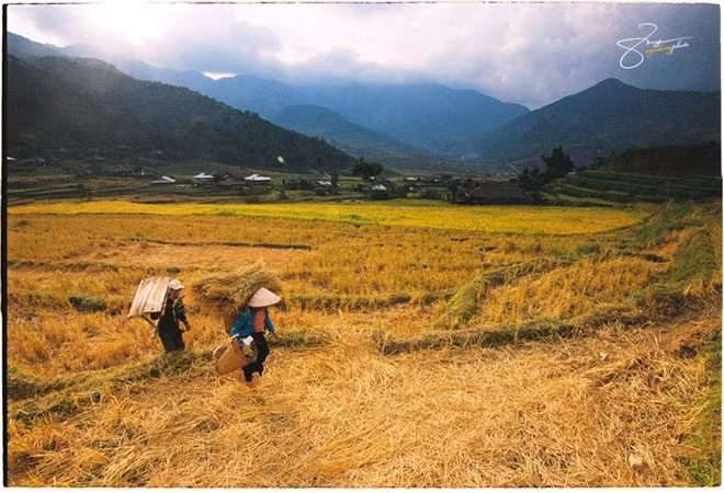 Xã Tú Lệ nằm trọn trong lòng thung lũng với khoảng 172 ha ruộng nước.