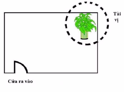 Phuong vi Than Tai nam Dinh Dau 2017 chinh xac o huong nao?-Hinh-2