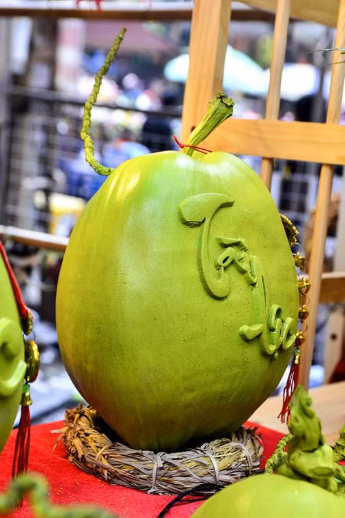 Để cố định quả dừa, bên dưới có một giá đỡ tết bằng rơm.