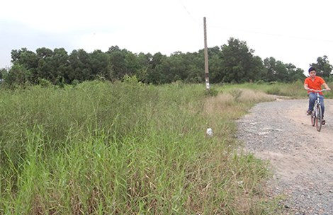 Gần 15 năm nay, dự án Công viên văn hóa Gò Vấp vẫn chưa được triển khai khiến cỏ dại mọc um tùm.