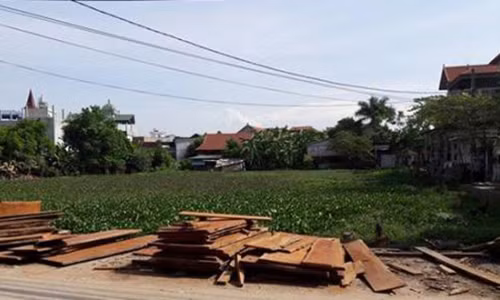 Chong xa mua dao chem mat vo