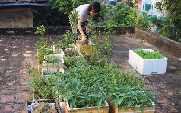 Bac si thoi bay ung thu phoi: Ranh la thien