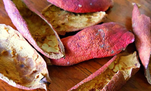 Loai vo tri viem ruot thua, loet da day vai ngay khoi han