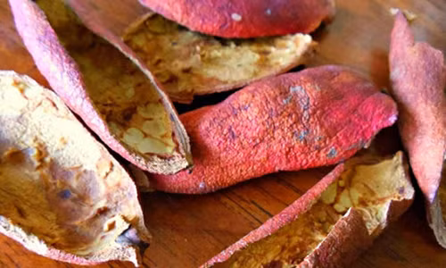 Loai vo tri viem ruot thua, loet da day vai ngay khoi han