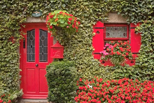 Hoa giai sai lam phong thuy de gia chu khong gap rui ro