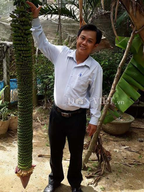 Ky la buong chuoi 100 nai dai 2 met ma khong can cham bon-Hinh-2