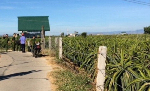 Hiện trường nơi phát hiện nam thanh niên tử vong. (Ảnh: Người lao động)