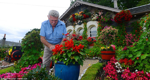Ông Robert đã làm việc chăm chỉ trong khu vườn nhưng ông cho biết vợ ông mới là người biến nơi đây thành không gian xanh.