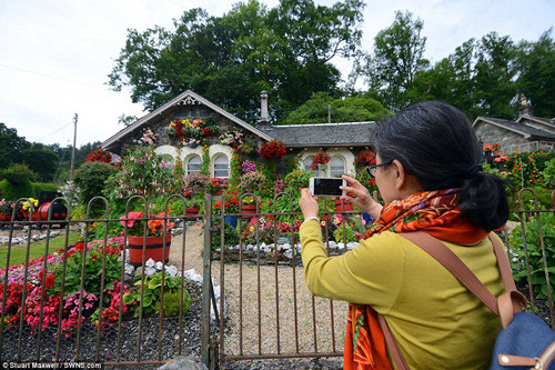 Khách du lịch thậm chí còn lang thang đến đây vào ban đêm chỉ để chụp ảnh được khu vườn của ông.