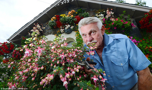 Ảnh khu vườn được in lên đế lót ly và nam châm gắn tủ lạnh. Một vài người bạn của Robert còn tình cờ trông thấy khu vườn của ông được in lên các hình ghép tại một cửa hàng ở Anh.