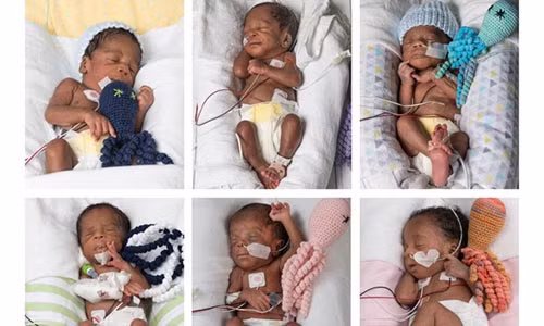 Cap doi sinh 6 con sau 17 nam hiem muon