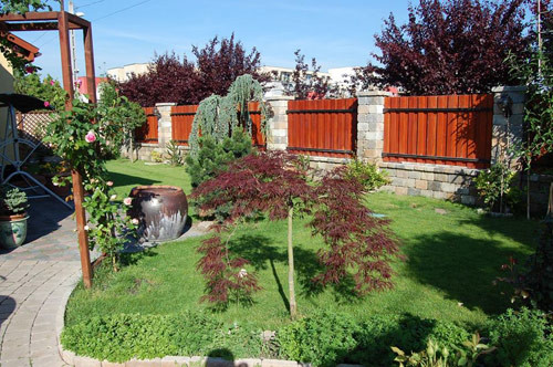 Khu vườn hoa thơ mộng của chị Phương Thảo ngự trị khiêm nhường một góc nhỏ ở thành phố Budapest, Hungary. Trong hơn 20 năm sống ở đây, chủ nhân của khu vườn đã kiên trì từng bước, từng bước để tự tay mình gây dựng nên một khu vườn đẹp như mơ giữa trời Tây.