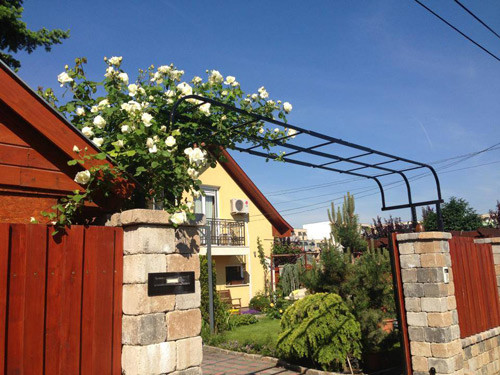 Mọi không gian trong ngôi nhà chị Phương Thảo đều tràn ngập sắc màu của thiên nhiên, vườn hoa, vườn rau, cây cối, ao cá, tiểu cảnh…Tất cả quy tụ lại với nhau để tạo nên một khung cảnh đẹp đến nỗi khiến người ta nhầm tưởng rằng nó được chăm chút bởi một thợ làm vườn chuyên nghiệp. Thế nhưng, tất cả cảnh quan hoa lá trong vườn nhà đều do một tay chị Phương Thảo làm nên. 20 năm sống trông ngôi nhà này là 20 năm chị Thảo miệt mài với niềm đam mê của mình. Chính tại nơi đây là nơi chị đã gieo những khóm hoa đầu tiên và đến nay nó đã trở thành một khu vườn hoàn mỹ, tuyệt đẹp trên đất nước Hungary xa xôi này.