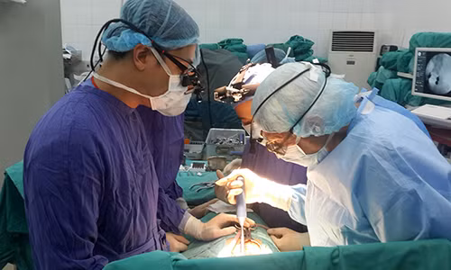 Lấy u di căn đốt sống bằng một đường mổ Lay u di can dot song bang mot duong mo