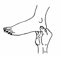 3. Kiểm tra thận Nắm gân gót chân, bấm mạnh vào huyệt Côn lôn, Bộc tham của kinh Bàng quang, Chiếu hải, Thái khê của kinh Thận. Nếu thấy đau thì có nghĩa thận, bàng quang, bộ phận sinh dục đang bị rối loạn. Dùng bàn tay cụp vào gót chân hướng về lòng bàn chân, bóp mạnh và sâu, nếu thấy đau là bộ phận sinh dục yếu, cần ấn vào điểm này để tăng cường sức khỏe của bộ phận sinh dục, làm hết đau lưng và đau đầu gối.