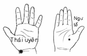 4. Kiểm tra phổi Ngửa bàn tay, dùng ngón tay ấn huyệt Thái uyên (chỗ lõm đầu lằn chỉ cổ tay (dưới ngón cái), đồng thời gấp các ngón tay vào lòng bàn tay, đầu ngón tay trỏ chạm vào huyệt Ngư tế (vùng thịt ở mô ngón cái) để kiểm tra phổi. Day 2 huyệt này làm lượng ôxy trong phổi lưu thông qua đường kinh Phế.