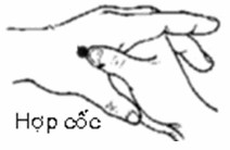 5. Kiểm tra ruột già Khép ngón tay cái vào huyệt Hợp cốc (sát ngón trỏ, chỗ cao nhất của thịt lồi lên), day và ấn vào huyệt này, nếu đau là ruột già không được tốt lắm, cần ấn vào huyệt này cho đến khi thấy hết đau. Nên ăn thức ăn nhẹ và dễ tiêu. Huyệt đặc biệt này không những làm tan những chất độc tụ ở ruột già mà còn chữa mất ngủ. Mỗi tối nên xoa ấn huyệt này là cơn mệt mỏi sẽ tiêu bớt. Lưu ý, thời gian xoa bóp, day ấn ngón tay không nên quá dài, mỗi lần xoa bóp, day ấn chỉ nên trong thời lượng 3 phút, mỗi ngày 1 - 2 lần. Khi xoa bóp, day ấn phải chú ý dùng lực vừa phải, nếu sau khi day ấn và vị trí đó xuất hiện cảm giác tức mỏi, hơi đau thì có nghĩa lực ấn quá mạnh.