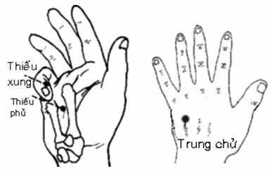 1. Kiểm tra tim Ngửa ngón tay, tìm huyệt Thiếu phủ (nằm ở kẽ xương ngón tay thứ 4 và thứ 5) hoặc huyệt Thiếu xung (nằm ở góc ngón tay út, phía ngón tay áp út). Nắm 2 ngón tay vào huyệt này thật chặt, day mạnh, có thể lắc tay để tăng thêm lực. Nếu cảm thấy đau tức là tim bạn đang phải làm việc quá sức. Đặt ngón tay cái vào giữa khe ngón tay thứ 4 và thứ 5 (huyệt Thiếu phủ), ngón trỏ đặt ở phía đối diện (huyệt Trung chử ở mu bàn tay). Xoa bóp để trợ lực cho tim và tăng sức khỏe cơ thể.