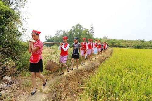 Qua một buổi sáng thu gặt, mảnh ruộng đã được những nữ tiếp viên thu hoạch thành công. Rất nhiều mồ hôi đã rơi xuống, đổi lại là những nụ cười rất tươi tắn của họ. "Đây là lần đầu tiên tôi được trải nghiệm cảm giác gặt lúa, trước đây chỉ xem qua trên ti vi, lần gặt đầu tiên không được năng suất, nếu cố chút nữa chắc sẽ không thể đứng dậy", một nữ tiếp viên hàng không chia sẻ về trải nghiệm gặt lúa của mình.
