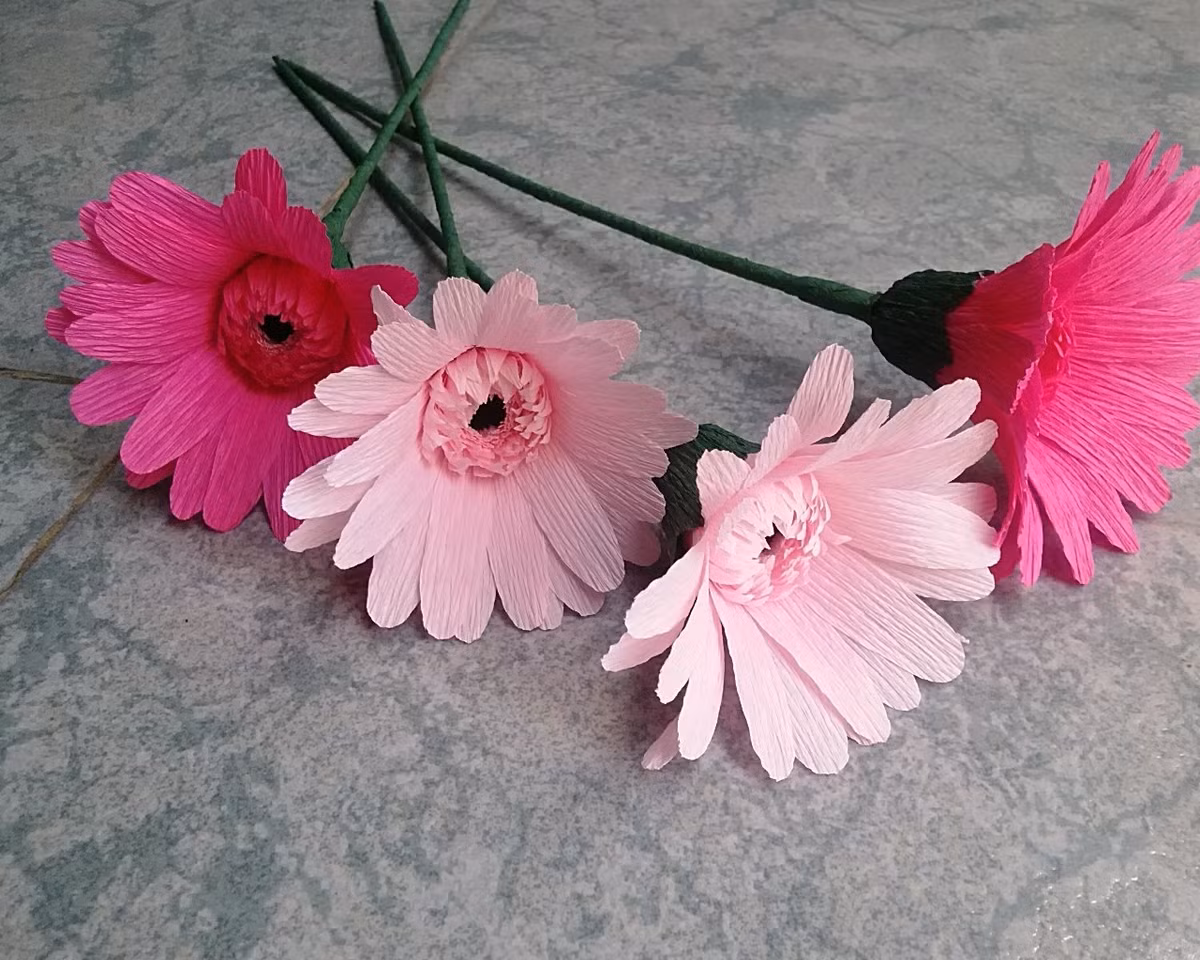 9 cay canh mang y nghia tot lanh ban nen trung trong nha-Hinh-2