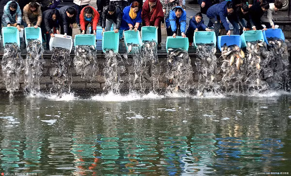 Khi thả chim, cá...về với môi trường thiên nhiên cần làm đúng nơi đúng chỗ, đúng thời điểm để chúng sống được.