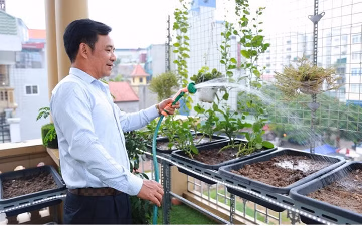 Nam diễn viên và vợ còn trồng rau trên sân thượng.