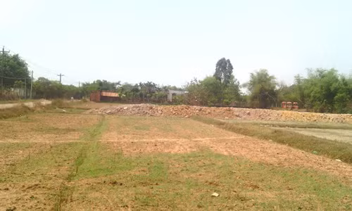 Muu hen chiem tai san, con hien bong hoa sat nhan giet me 77 tuoi