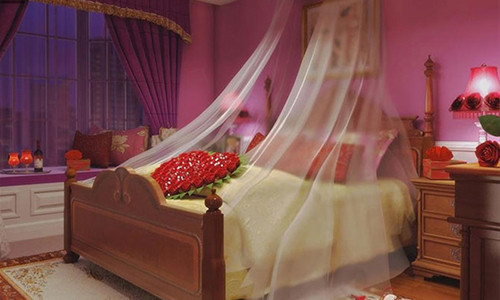 Pham cam ky phong thuy nay, de “tan cua nat nha”!