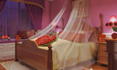 Pham cam ky phong thuy nay, de “tan cua nat nha”!