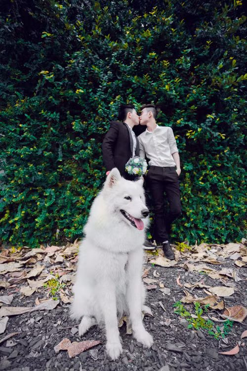 Về phần Thức, anh cũng không chịu ngồi yên. Thức viết một dòng trạng thái dài, đăng trong nhóm Facebook riêng tư của gia đình, nói hết những điều mình suy nghĩ trong suốt bao nhiêu năm qua. Anh chia sẻ về giới tính thực, về khát khao được sống bên người mình yêu và cuối cùng được gia đình chấp nhận.