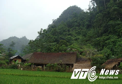 Run ray vao dong nuot nguoi o Phu Tho