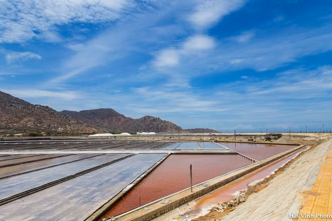 Lúc chúng tôi đi ngang qua, muối đã được thu hoạch phần lớn. Người dân ở đây đang bơm nước biển vào, chuẩn bị cho một mẻ muối mới.