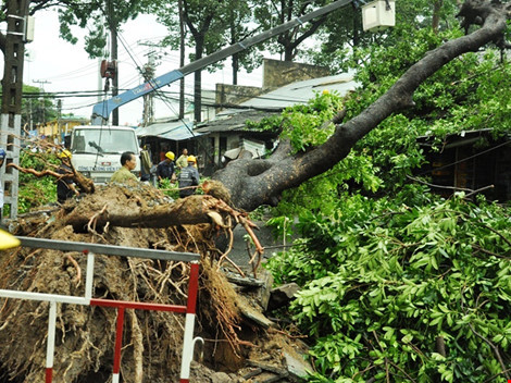 TP HCM Cay co thu do vao nha dan hang chuc nguoi thao chay-Hinh-4