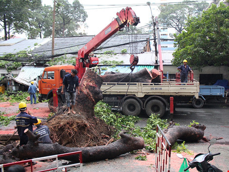 TP HCM Cay co thu do vao nha dan hang chuc nguoi thao chay-Hinh-2
