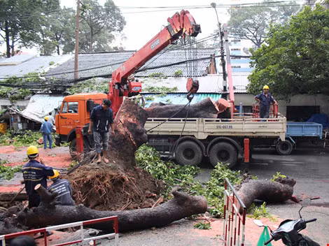 TP HCM Cay co thu do vao nha dan hang chuc nguoi thao chay-Hinh-2