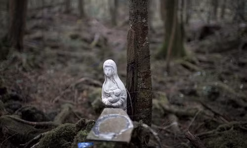 Am anh khu rung tu sat o Nhat Ban