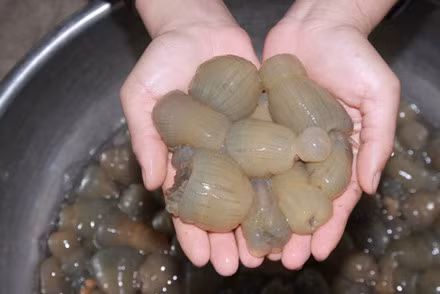 Nhiều người cho rằng, món ăn này là "thần dược" có thể giúp tăng bản lĩnh người đàn ông, nên rất nhiều người ưa chuộng.