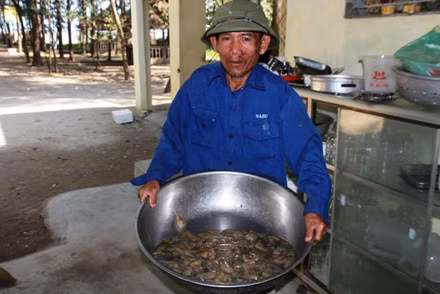 Vào buổi tối, ngư dân thường bắt đầu đi săn từ 2h sáng đến 8 giờ mang sản phẩm vào bờ để bán, buổi ngày thường đi vào lúc 12h trưa đến 15h chiều.