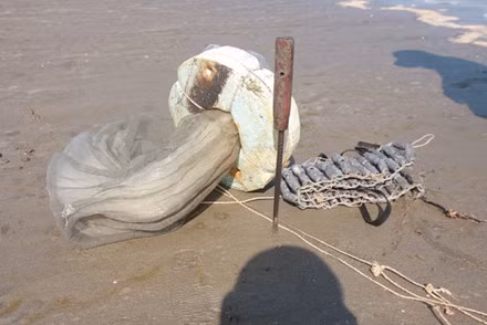 Anh Anh cũng cho biết thêm, để bắt được rum biển, phải dùng 2 chân mò dưới biển, sau đó dùng thanh sắt và người lặn sâu xuống. Nếu không giỏi nghề, thì không thể bắt nguyên con rum được.